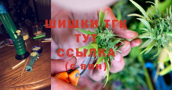 СК Алзамай