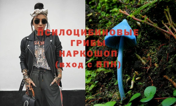 винт Осташков