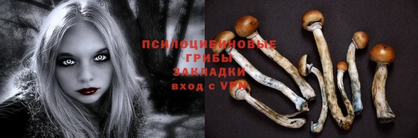 СК Алзамай