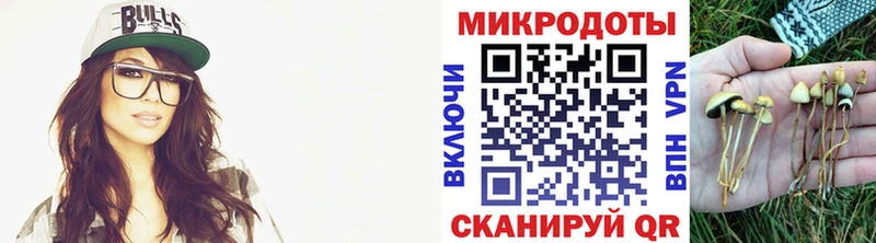 дарк нет наркотические препараты Жуковский Псилоцибиновые грибы Cubensis
